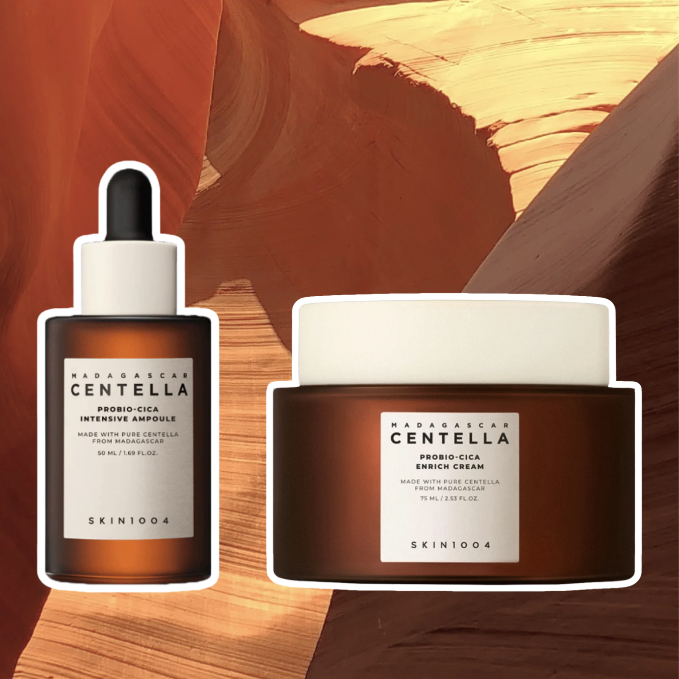 SKIN 1004 Madagascar Centella Probio-Cica Nourishing Set - Σετ Εντατικής Θρέψης με Προβιοτικά - Image 2